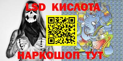 стаф Камышлов