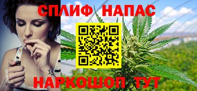 стаф Камышлов