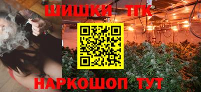стаф Камышлов